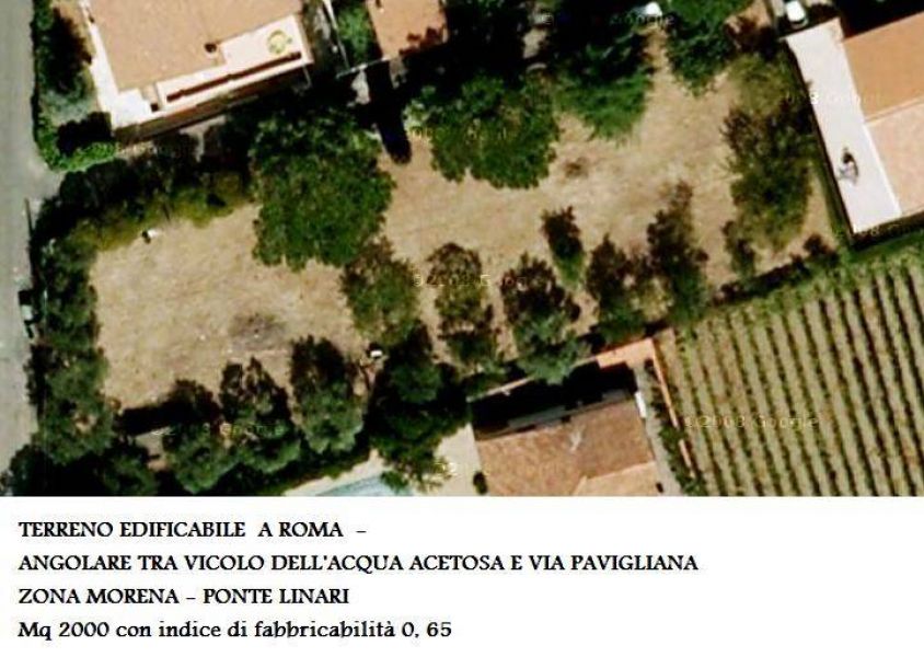 WX349289-A385 ROMANINA